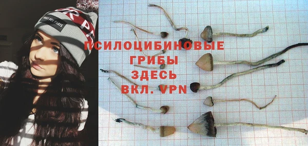 сатива Великий Новгород
