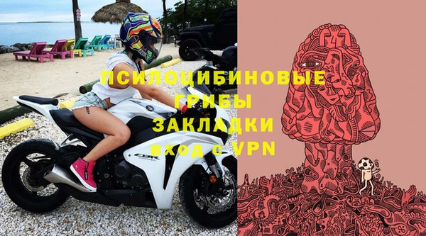 гидропоника Бугульма