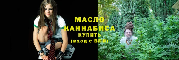 сатива Великий Новгород